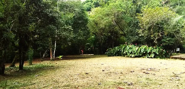 Fazenda/Sítio com 1 Quarto à venda, 12900m² no , Antonina