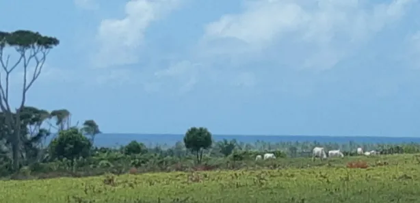 com 1 Quarto à venda, 224000m² no , Belmonte