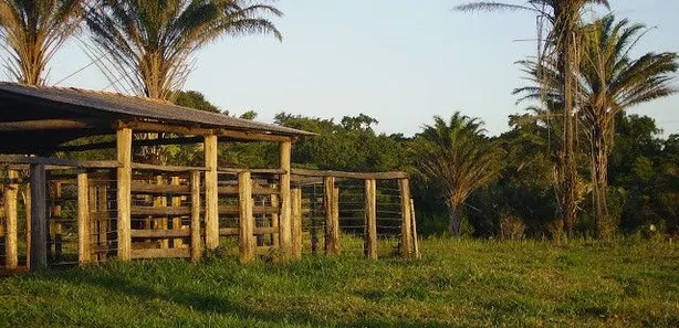 Fazenda/Sítio com 1 Quarto à venda, 1m² no Caravelas, Caravelas