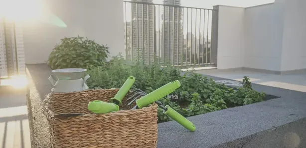 Apartamento à venda, 3 Dormitórios com Suíte e 1 Vaga no Jardim das Acácias, São Paulo