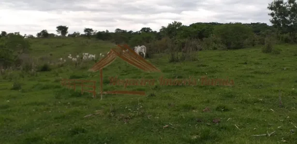 Fazenda/Sítio à venda, 1m² no , Garça