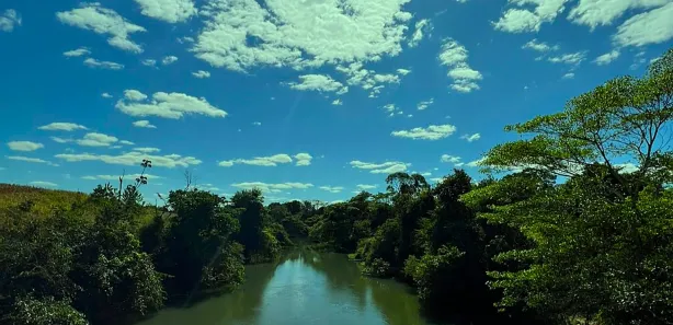 Fazenda/Sítio com 4 Quartos à venda, 145200m² no , Goiás