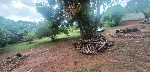 Fazenda/Sítio com 2 Quartos à venda, 2400m² no , Brasília