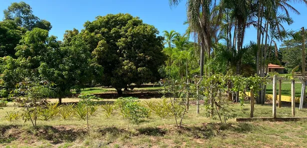 Lote/Terreno à venda, 1500m² no , Dois Córregos