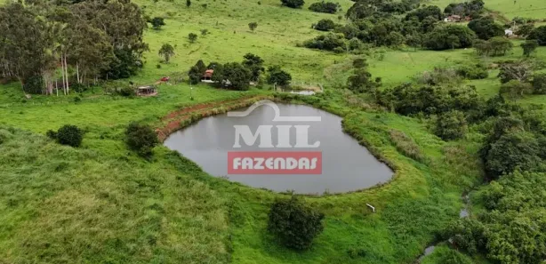Fazenda/Sítio à venda, 14520000m² no Vila Mutirão, Inhumas