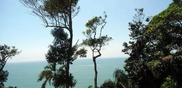 Casa de Condomínio com 3 Quartos à venda, 500m² no Morro Sorocotuba, Guarujá
