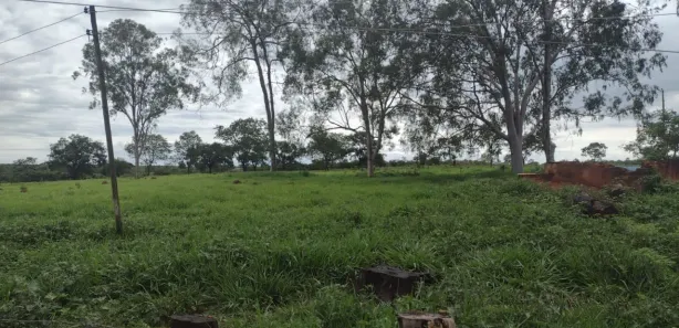 Fazenda/Sítio à venda, 247000m² no , Morro da Garça