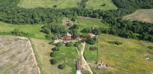 Fazenda/Sítio com 3 Quartos à venda, 4977200m² no Setor Central, Silvânia