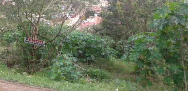 Lote/Terreno à venda, 4800m² no Santo Onofre, Viamão