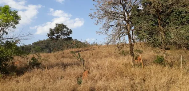 Lote/Terreno à venda, 28500m² no Centro, São José da Lapa