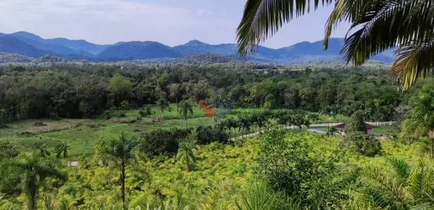Fazenda/Sítio com 1 Quarto à venda, 332m² no Guaraqueçaba, Guaraqueçaba