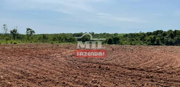 Fazenda/Sítio à venda, 500m² no , São Luíz do Norte