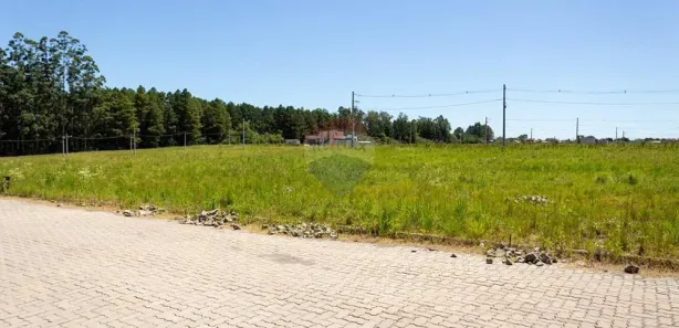 Lote/Terreno à venda, 351m² no Camobi, Santa Maria