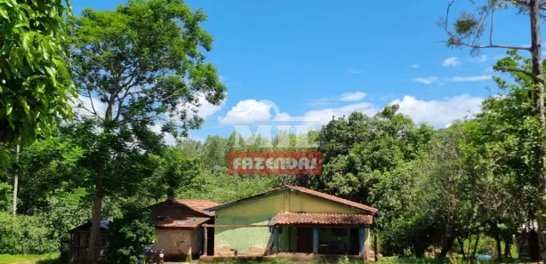 Fazenda/Sítio à venda, 484000000m² no , Jaraguá