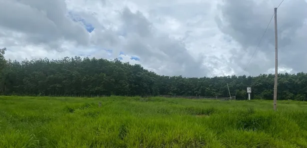 Fazenda/Sítio com 5 Quartos à venda, 35m² no , Silvânia