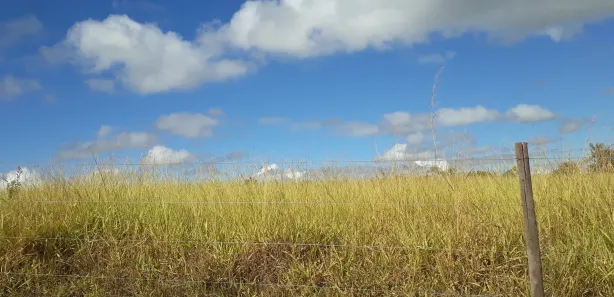 Lote/Terreno à venda, 20000m² no , Paraopeba