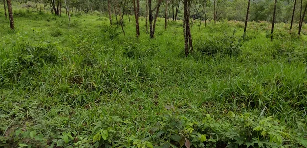 Lote/Terreno à venda, 20000m² no , Fortuna de Minas