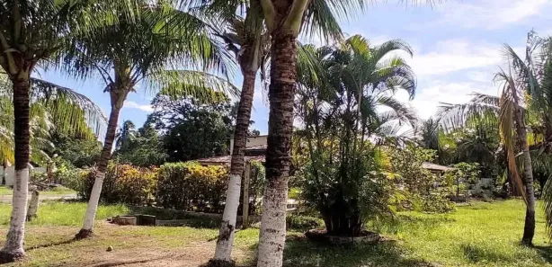 Lote/Terreno à venda, 150m² no Loteamento Bosque Ponta da Areia, Itaparica