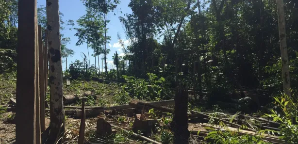 Lote/Terreno à venda, 400m² no Tarumã, Manaus