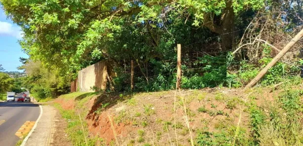 Lote/Terreno à venda, 501m² no Tarumã, Viamão