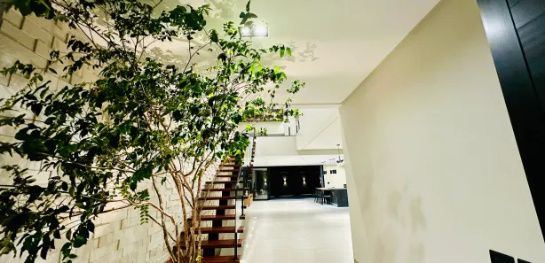Casa de Condomínio com 4 Quartos à venda, 300m² no Vila Rosa, Goiânia