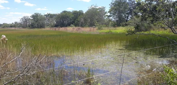Lote/Terreno à venda, 20000m² no , Araçaí