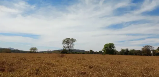 Fazenda/Sítio com 1 Quarto à venda, 400m² no , Jaraguá