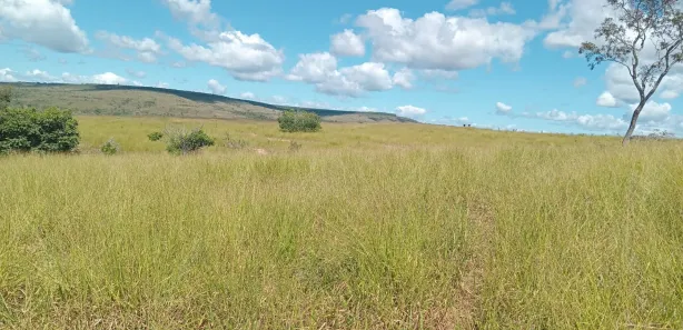 Fazenda/Sítio à venda, 4300000m² no Serra Bonita, Buritis