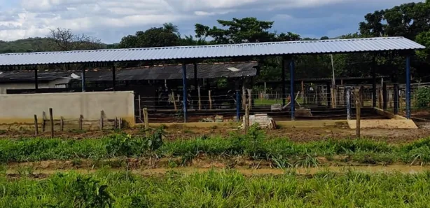Fazenda/Sítio à venda no , Buritis