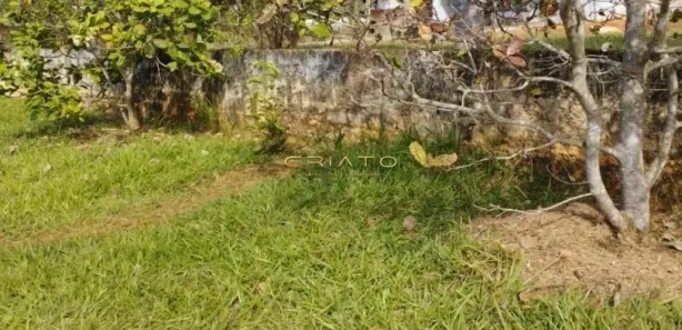 Fazenda/Sítio com 3 Quartos à venda, 250m² no , Terezópolis de Goiás