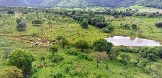 Fazenda/Sítio à venda, 871200m² no , Niquelândia