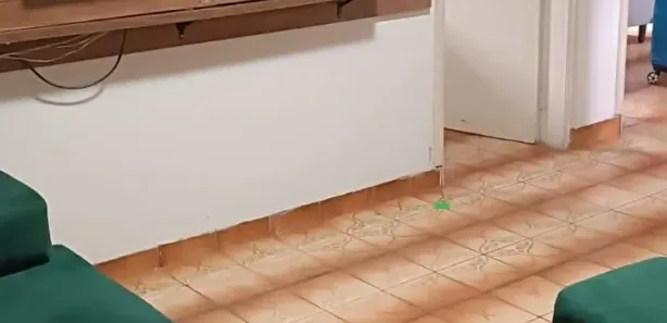 Casa com 3 Quartos à venda, 250m² no Taguatinga Norte, Brasília