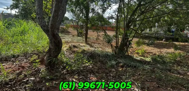 Casa de Condomínio com 4 Quartos à venda, 1000m² no Setor de Habitações Individuais Norte, Brasília