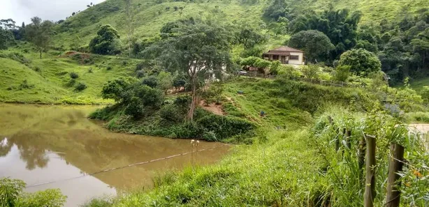 Fazenda/Sítio com 3 Quartos à venda, 59800m² no , Passa Vinte
