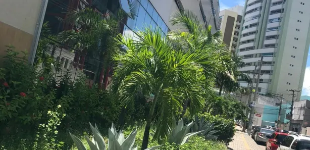 Ponto Comercial para alugar, 450m² no Itaigara, Salvador