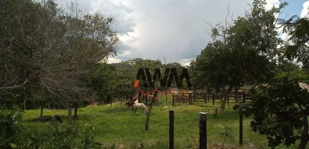 Fazenda/Sítio à venda, 774400m² no Goiás, Goiás