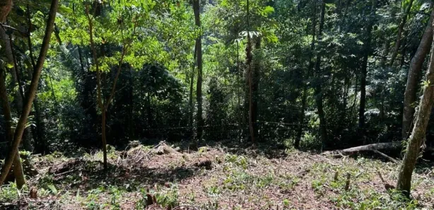Lote/Terreno à venda, 1800m² no Balneario Praia do Perequê, Guarujá