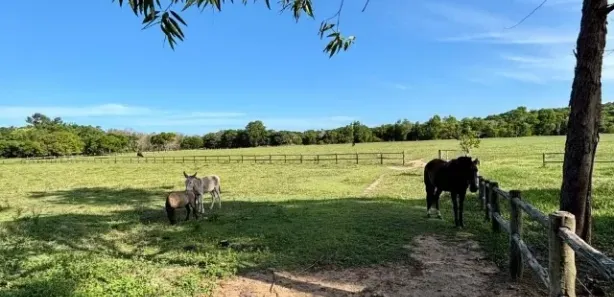 Lote/Terreno à venda, 41470m² no Comunidade Urbana de Jaboticaba, Guarapari