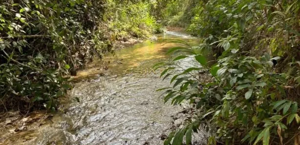 Fazenda/Sítio com 1 Quarto à venda, 48400m² no , Abadiânia