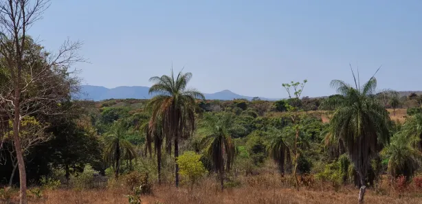 Lote/Terreno à venda, 20000m² no Serra do Cipó, Santana do Riacho