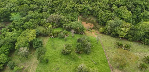 Fazenda/Sítio à venda, 20000m² no ZONA RURAL, Bonfinópolis