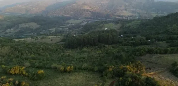 Fazenda/Sítio com 1 Quarto à venda, 50m² no , Caraá