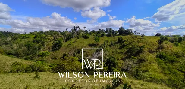 Fazenda/Sítio com 1 Quarto à venda, 43000m² no Centro, Serraria
