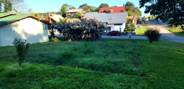 Lote/Terreno à venda, 436m² no Nova Petrópolis, Nova Petrópolis