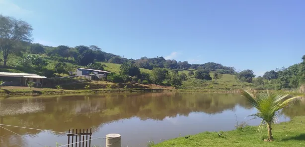 Fazenda/Sítio com 3 Quartos à venda, 24000m² no , Nerópolis