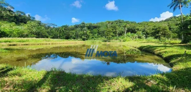 Fazenda/Sítio com 3 Quartos à venda, 300m² no Rio do Cedro, Antonina