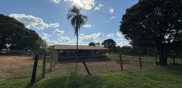 Fazenda/Sítio com 2 Quartos à venda, 2000m² no , Guapó