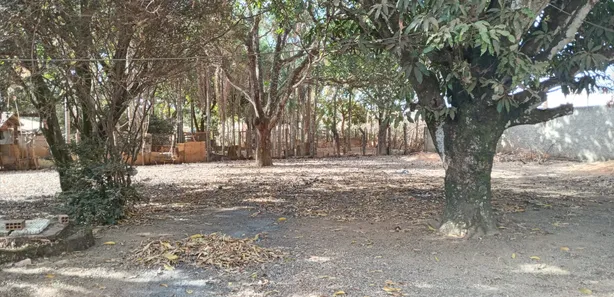 Fazenda/Sítio com 2 Quartos à venda, 5000m² no Setor Central, Padre Bernardo
