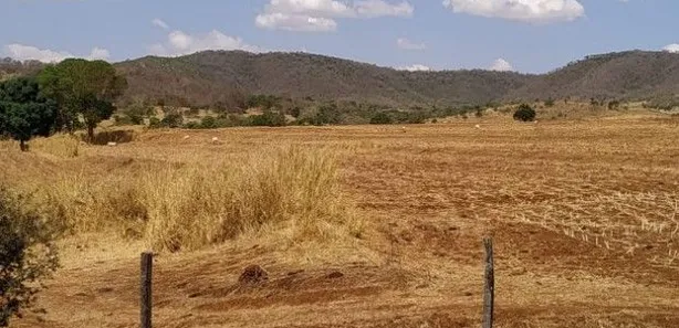 Fazenda/Sítio à venda, 1403600m² no , Itaberaí
