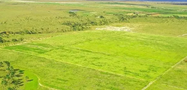 Fazenda/Sítio com 1 Quarto à venda, 625000m² no , Bonfim